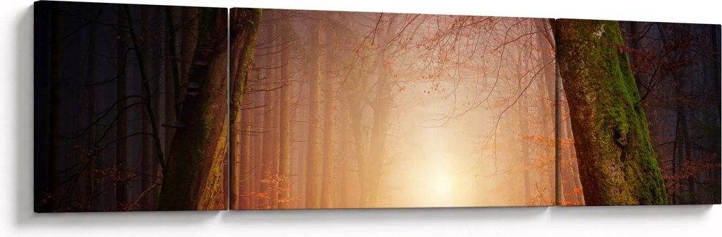 Obraz jesiennego lasu we mgle (170x50 cm)