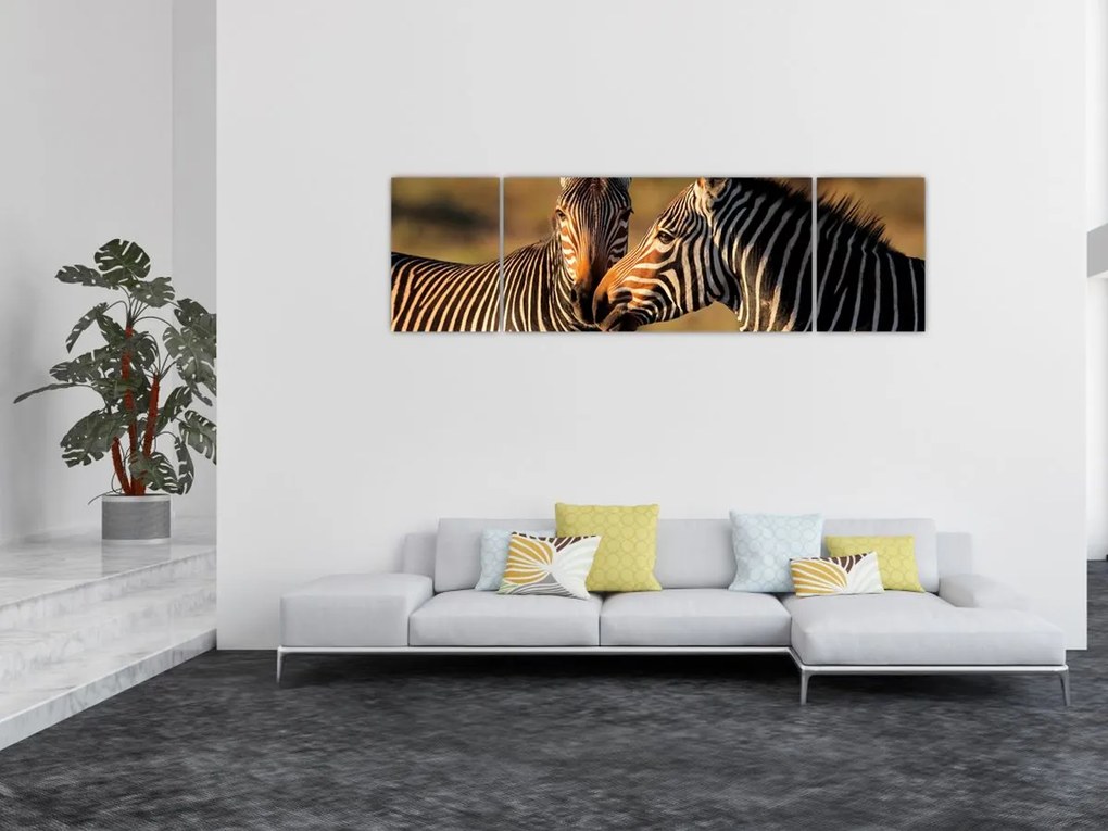 Obraz - Dwie zebry (170x50 cm)