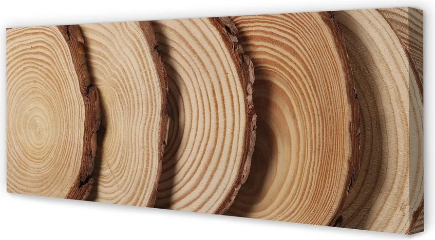 Obraz drukowany na płótnie Plastry Drewna Na Ścianę