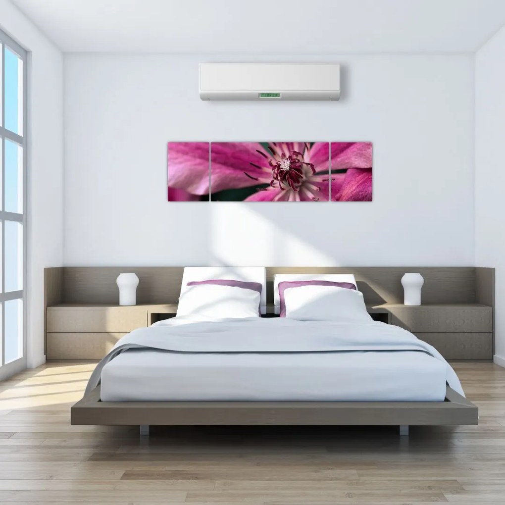 Obraz różowego kwiatu powojnika (170x50 cm)