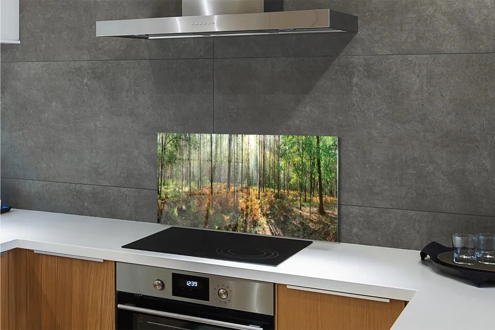 Panel szklany do Kuchni Klasyczny Las Brzozowy