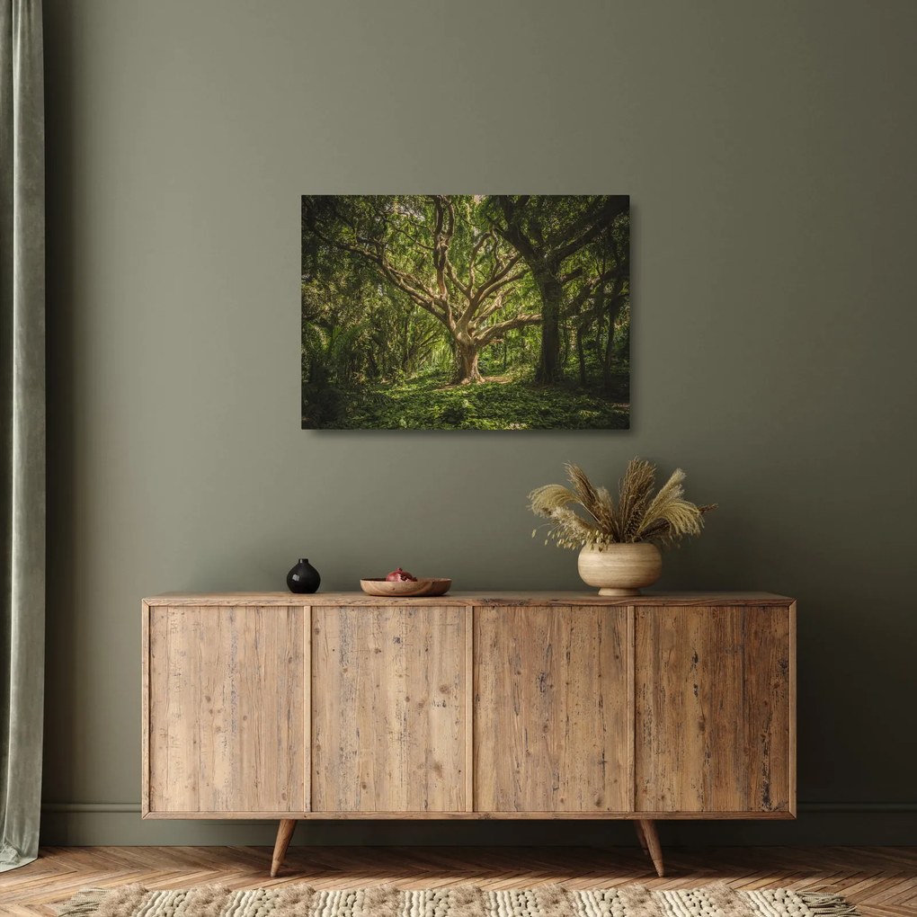 Obraz na szkle drzewa (70x50 cm)