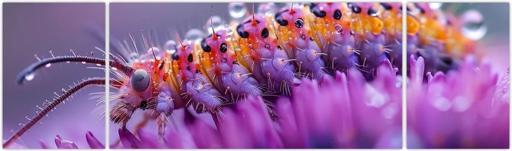 Obraz - Caterpillar (170x50 cm)