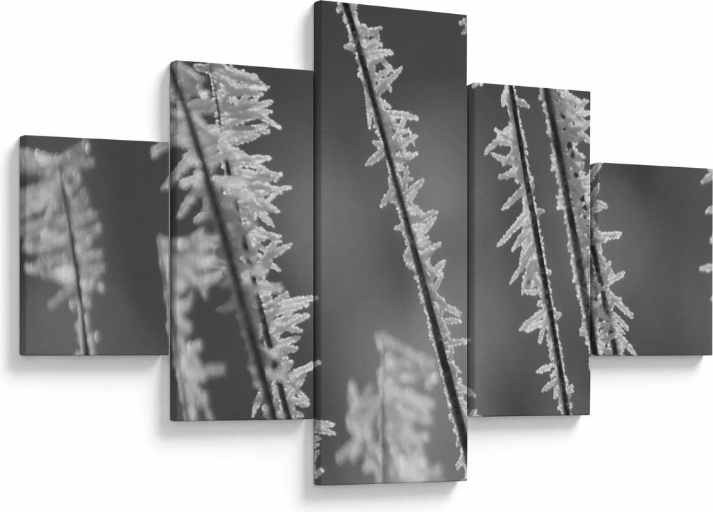 Obraz - Mroźne zimno (125x70 cm)