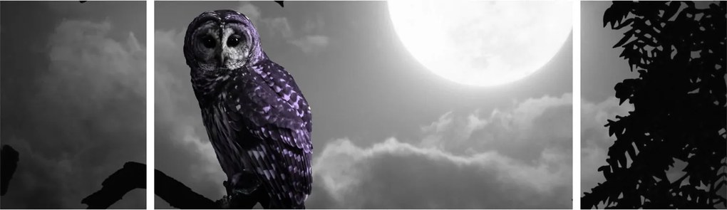 Obraz - Nocna sowa, fioletowa sowa (170x50 cm)