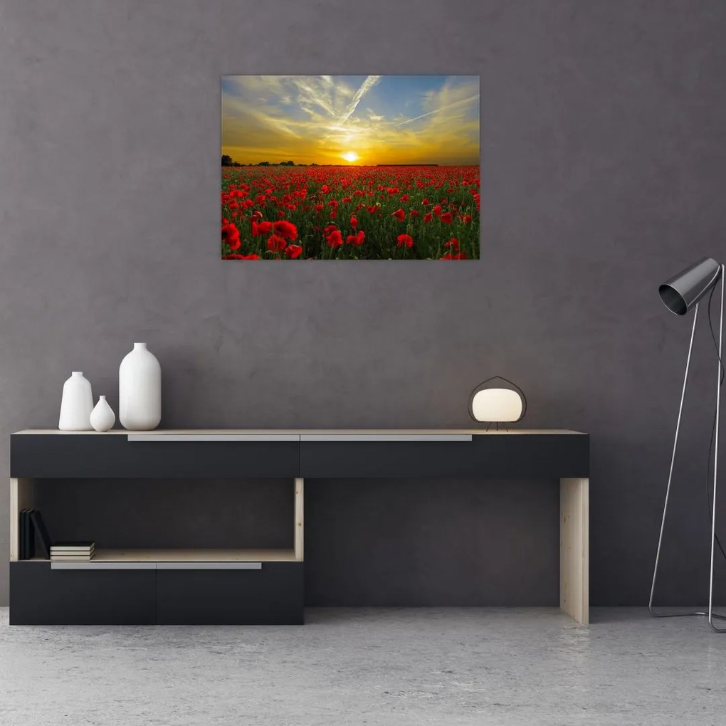 Obraz na szkle - pole maków (70x50 cm)