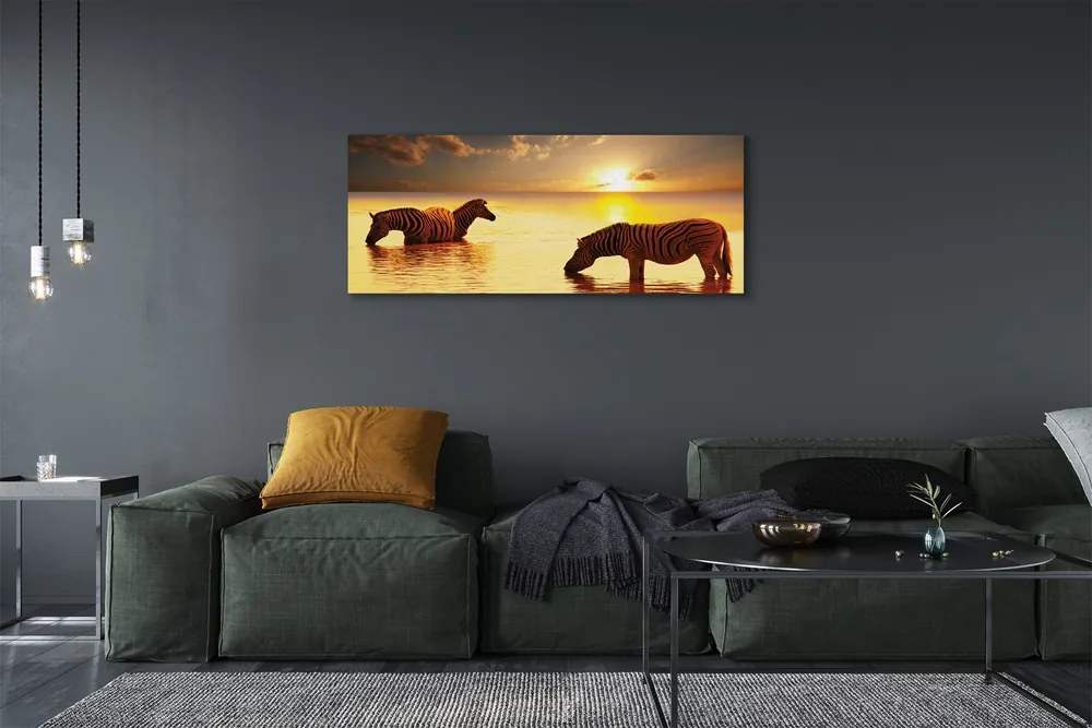 Obraz na płótnie Zebry w Wodzie o Zachodzie Słońca