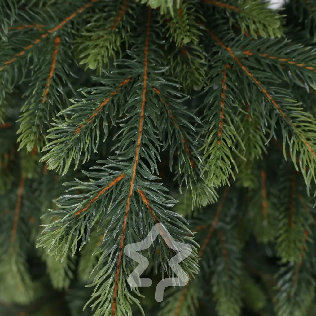 Świerk Natura 150 cm