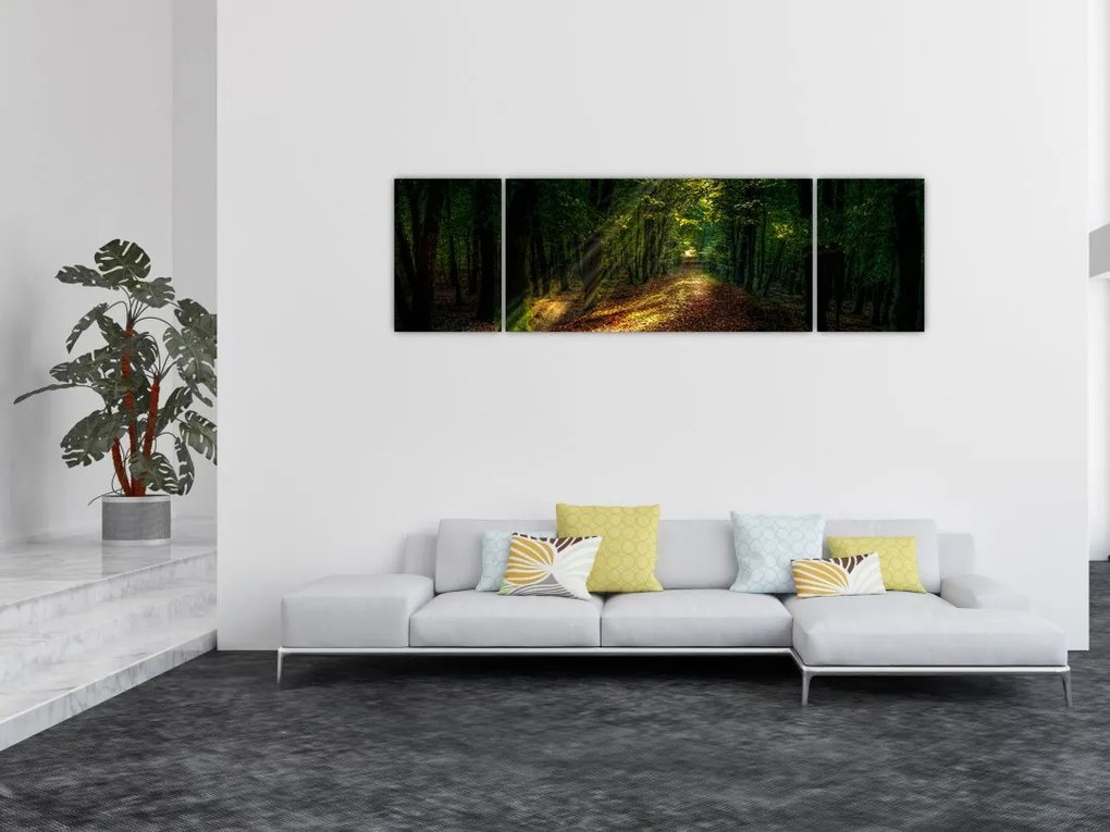 Obraz leśnej ścieżki (170x50 cm)