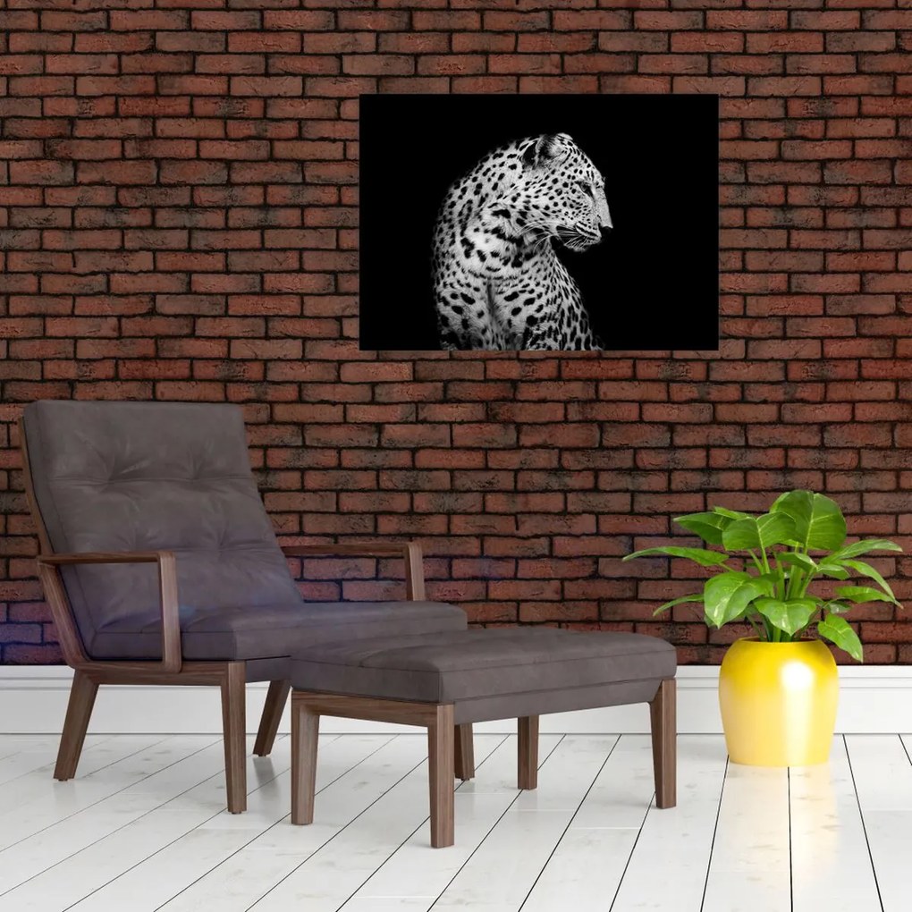 Obraz na szkle - Lampart (70x50 cm)
