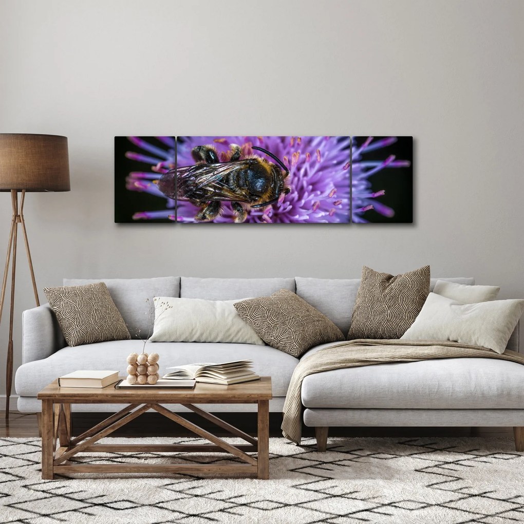 Obraz pszczoły na kwiatku (170x50 cm)