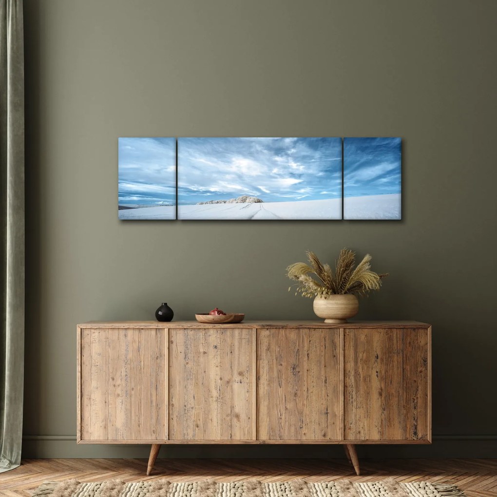 Obraz pola (170x50 cm)