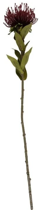 Sztuczny kwiat (wysokość 60 cm) Protea – PT LIVING