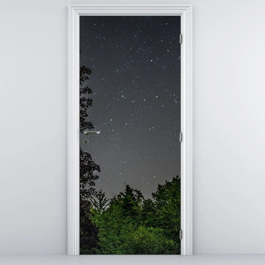 Fototapeta na drzwi - Nocne niebo (95x205cm)