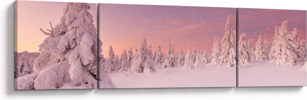 Obraz - Drzewa pod warstwą śniegu (170x50 cm)