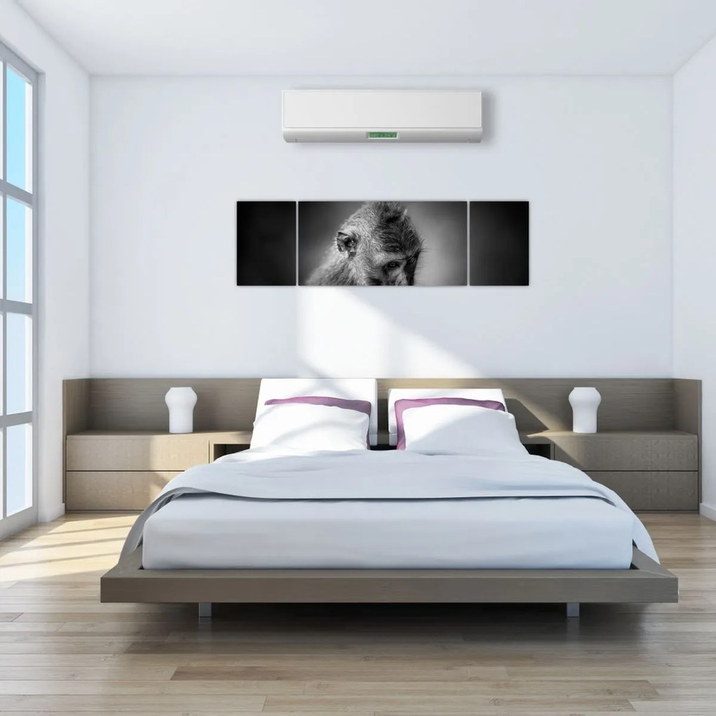 Obraz - Małpa (170x50 cm)