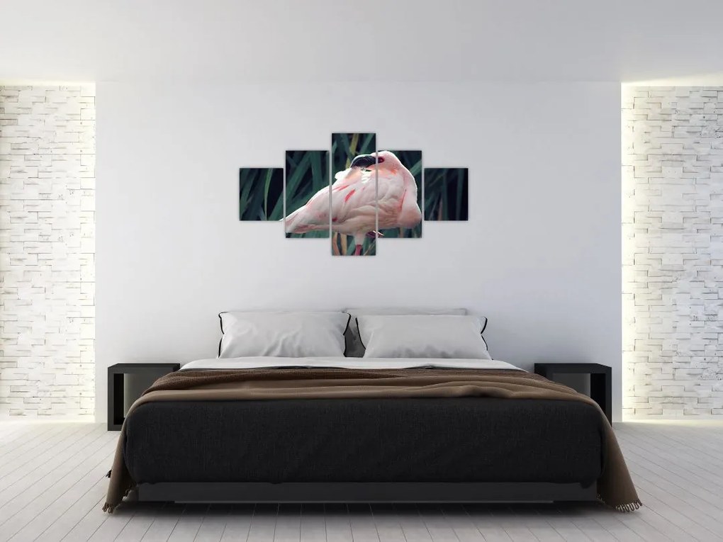 Obraz - Flaming (125x70 cm)