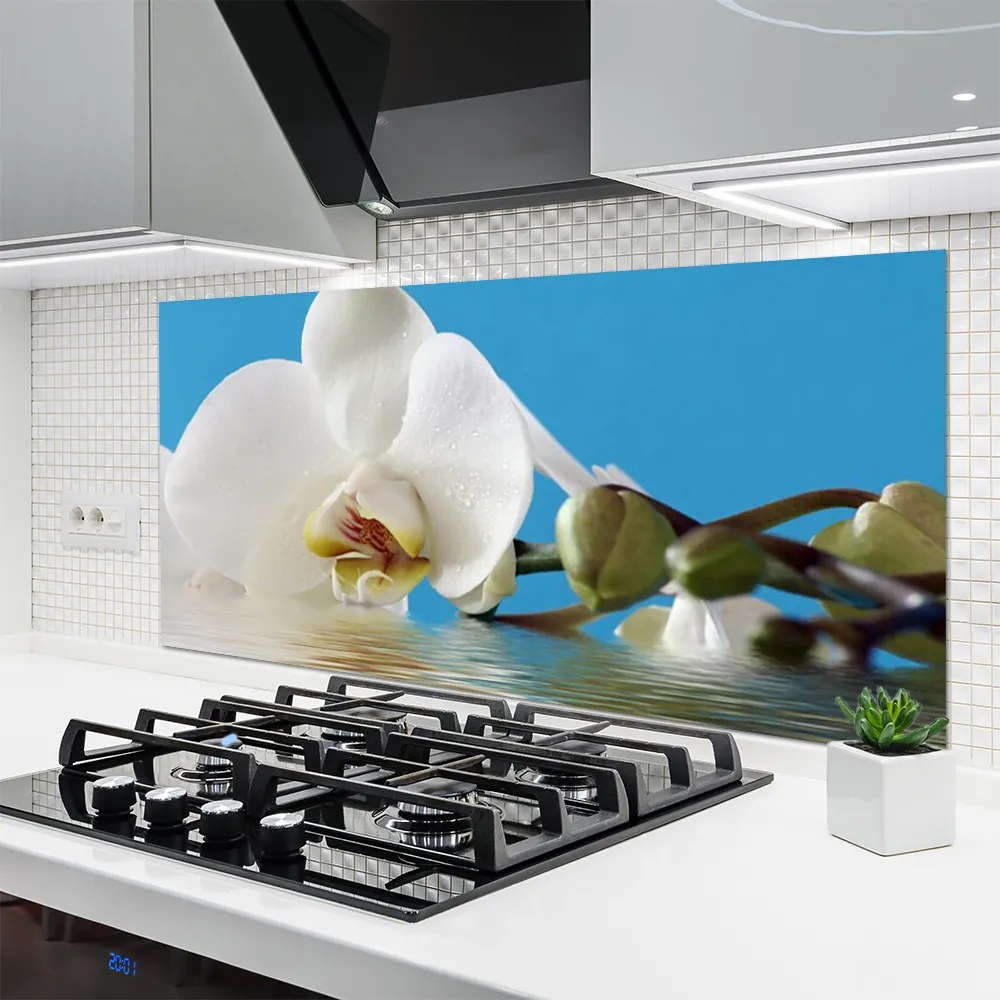 Szkło do Kuchni na Ścianę Botaniczny Portret Kwiatu