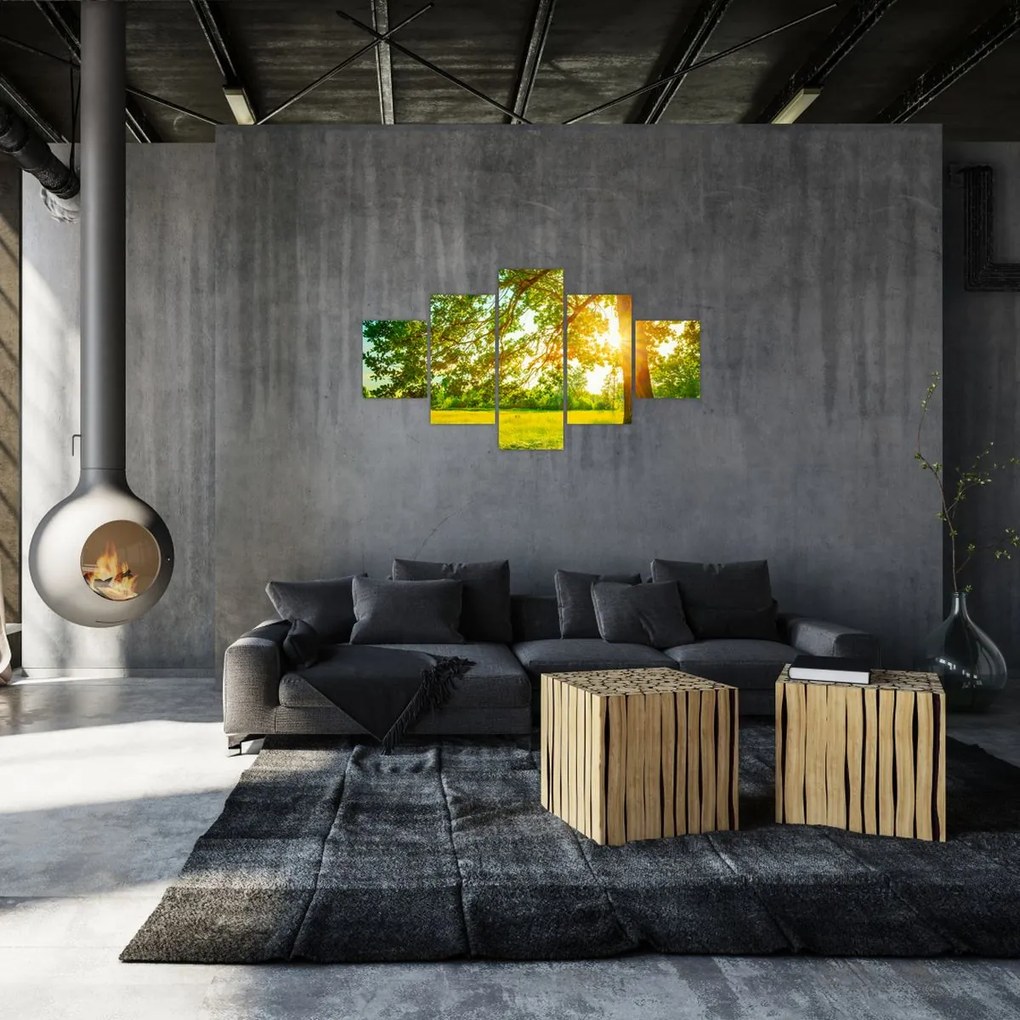Obraz - Słoneczny Las (125x70 cm)