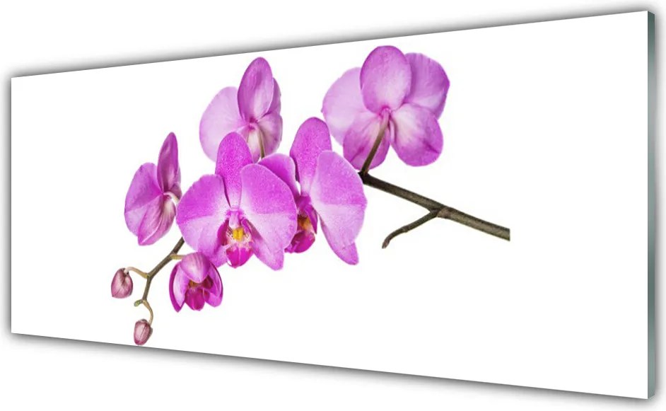 Panel Szklany Kompozycja Różowych Storczyków