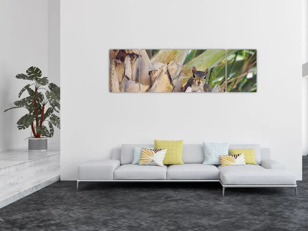 Obraz wiewiórki na drzewie (170x50 cm)