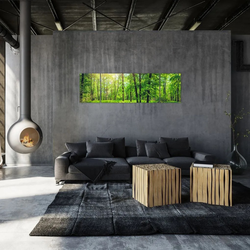 Obraz - Wiosenny las liściasty (170x50 cm)