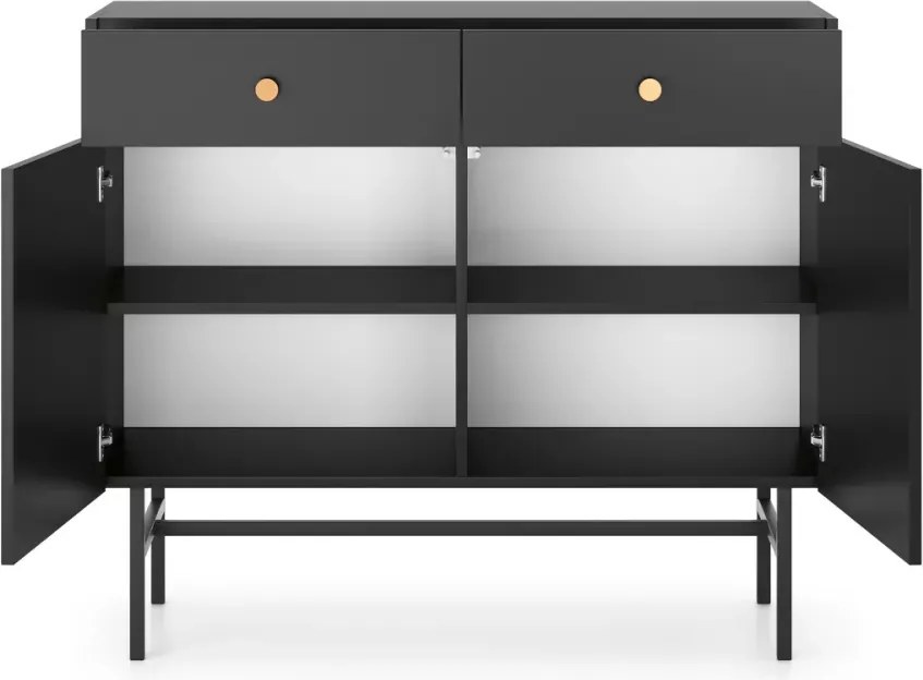 Alderia 2D2S – nowoczesna komoda do salonu i sypialni, dostępna w 2 kolorach