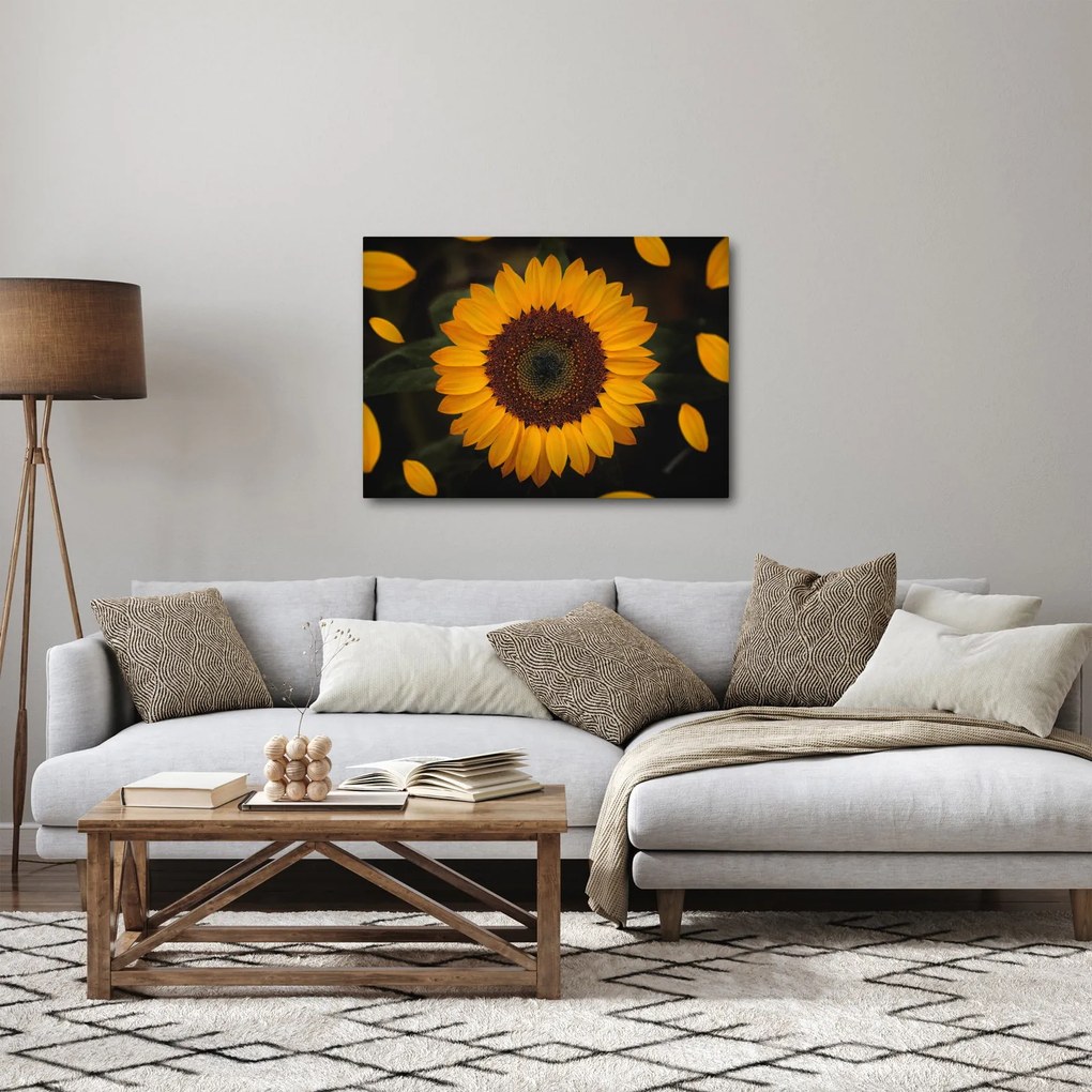 Obraz - Słonecznik i płatki kwiatów (70x50 cm)