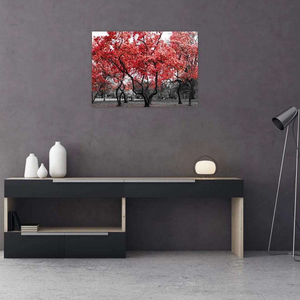 Obraz na szkle - Czerwone drzewa, Central Park, New York (70x50 cm)
