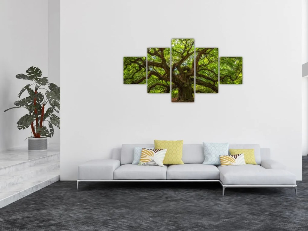Obraz - Zielone drzewo (125x70 cm)