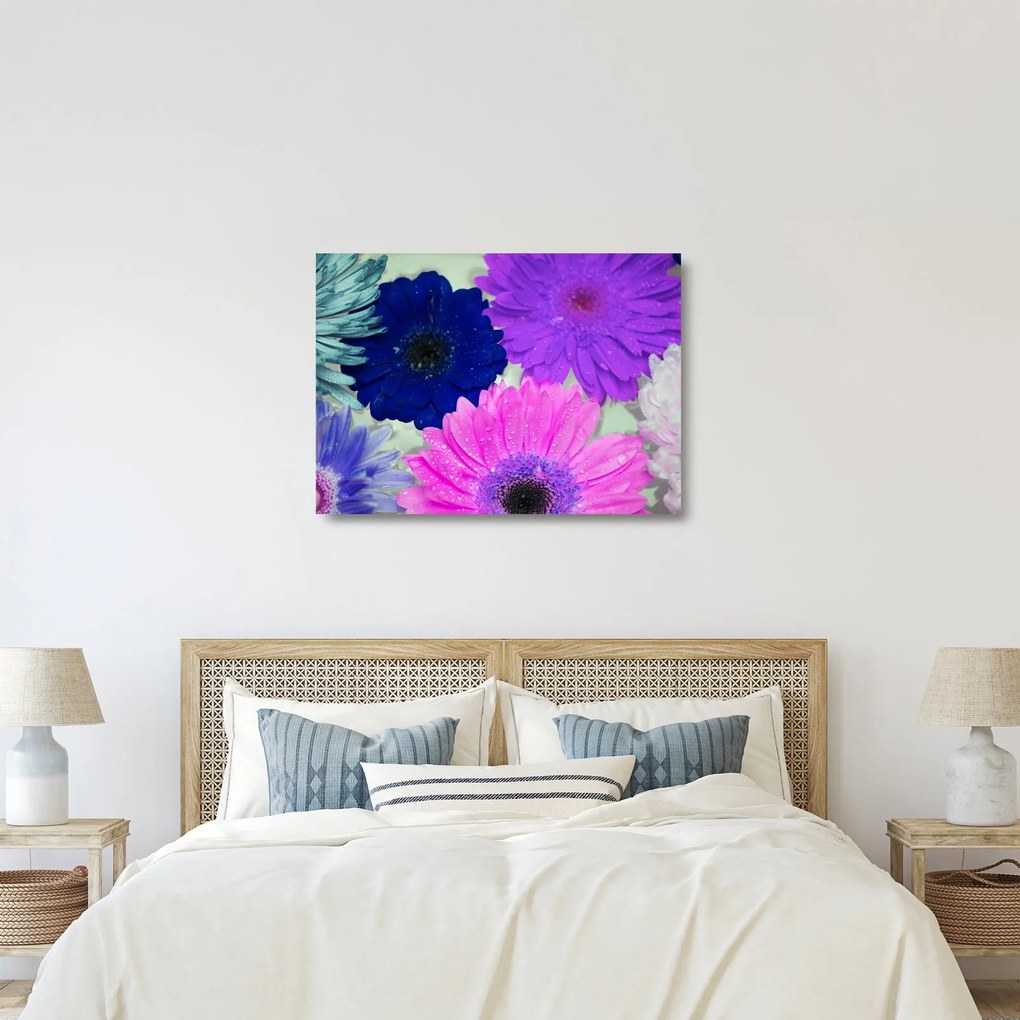 Obraz na szkle - kolorowe kwiaty (70x50 cm)