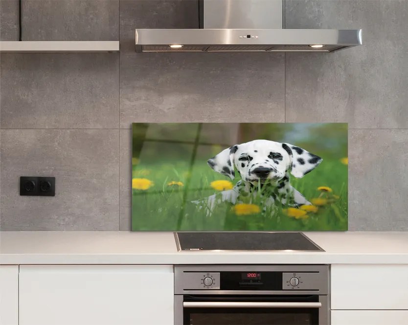 Szklany Panel Szczęśliwy Pies na Zielonej Łące