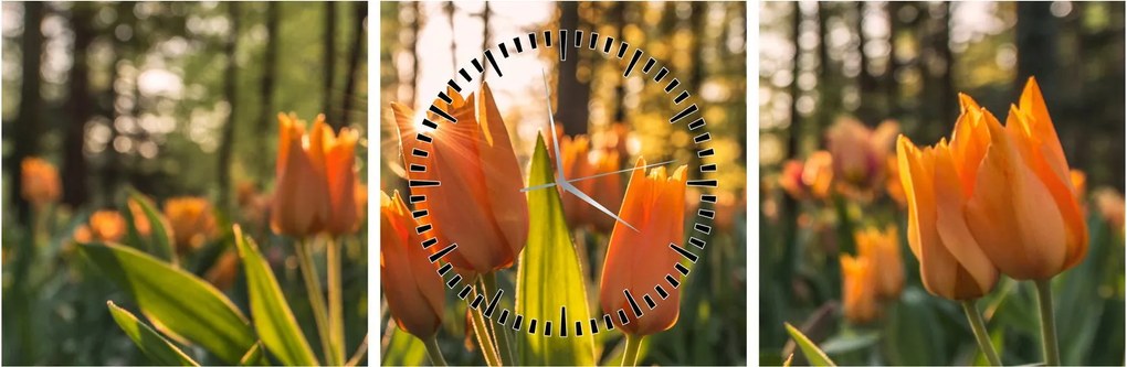 Obraz - kwiaty tulipanów (z zegarem) (90x30 cm)
