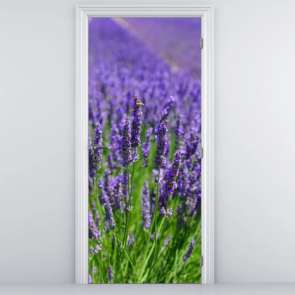 Fototapeta na drzwi - Lawenda (95x205cm)