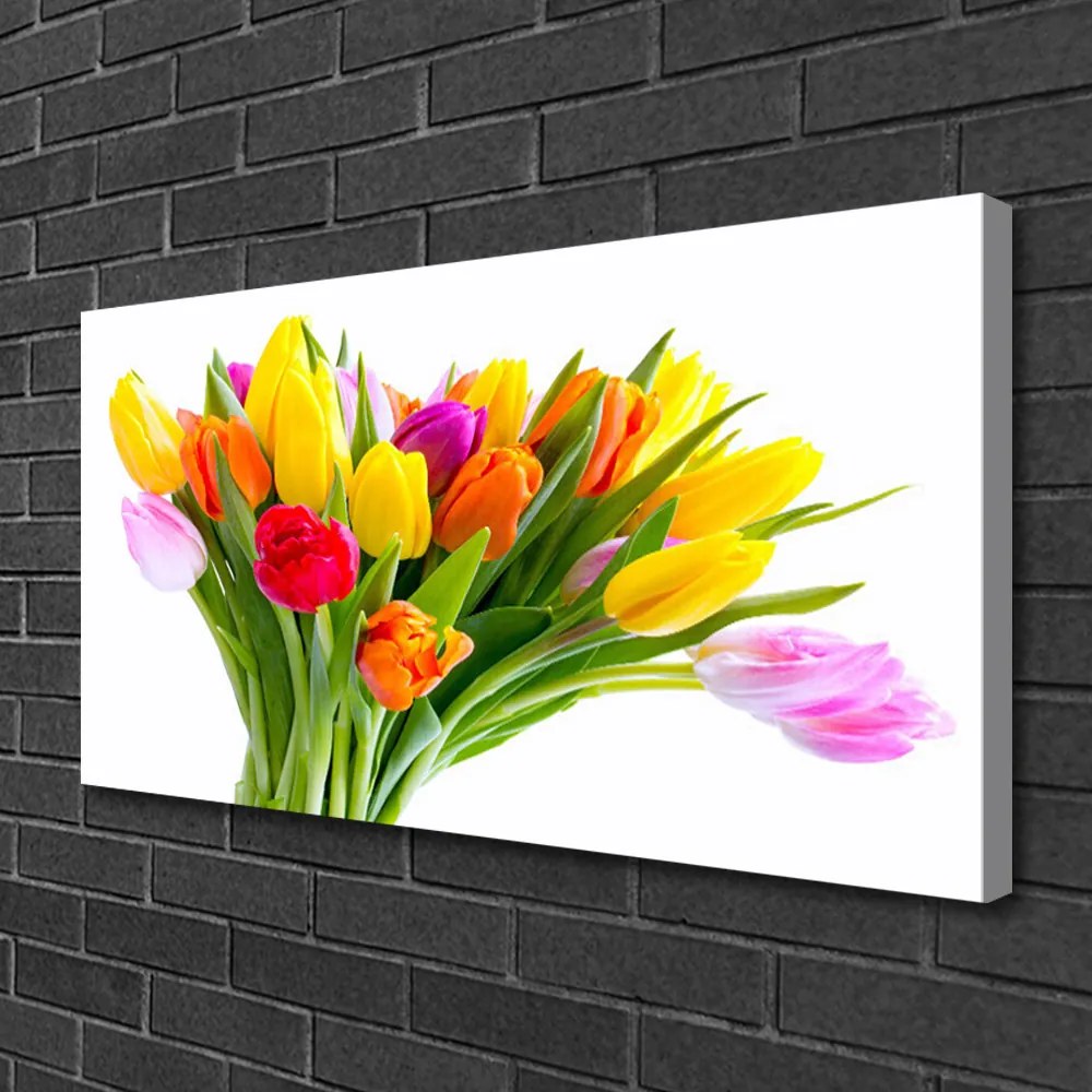 Obraz Canvas Tulipany Kwiaty Roślina