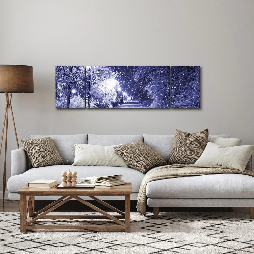 Obraz - Magiczna zimowa noc (170x50 cm)