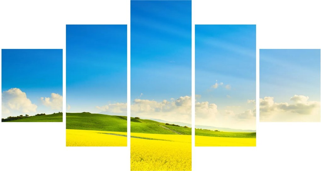 Obraz - Wiosenne niebo (125x70 cm)