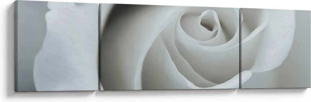 Obraz - Biała róża (170x50 cm)