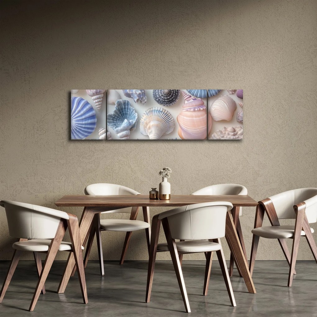 Obraz - Kolekcja muszli (170x50 cm)