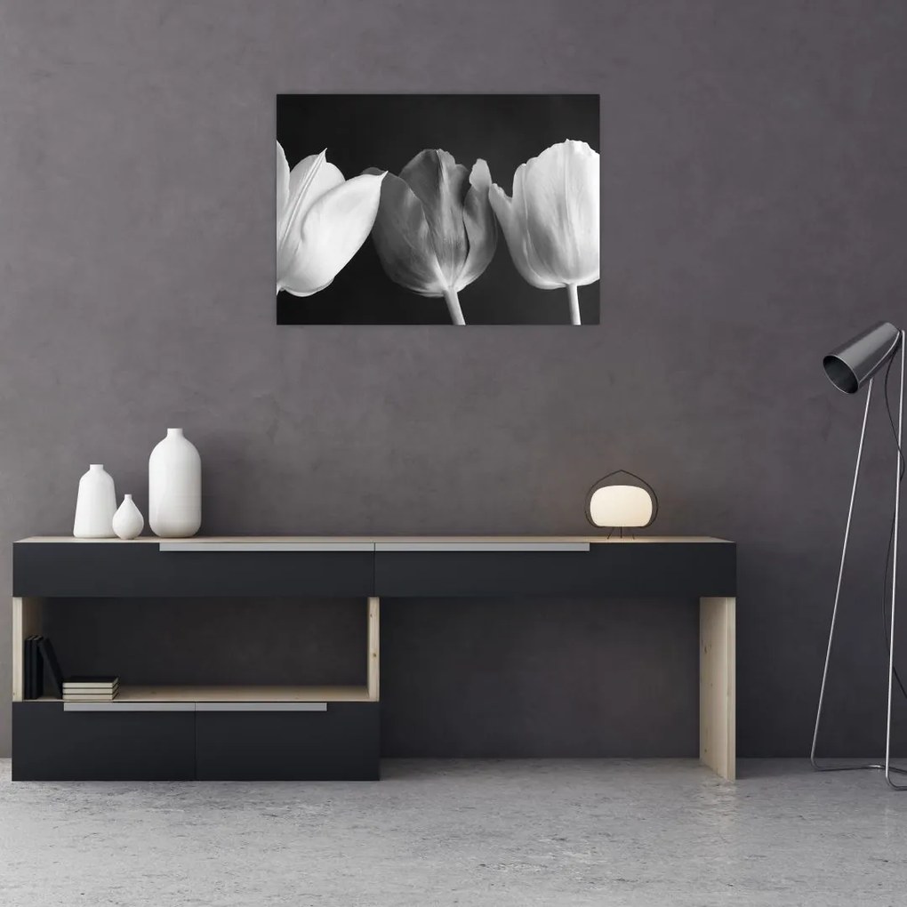 Obraz na szkle - Czarno - białe kwiaty tulipanów (70x50 cm)