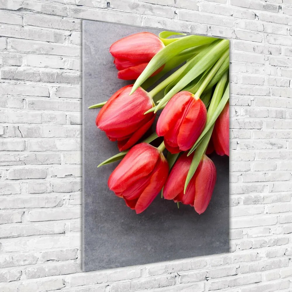 Foto obraz na szkle Czerwone tulipany