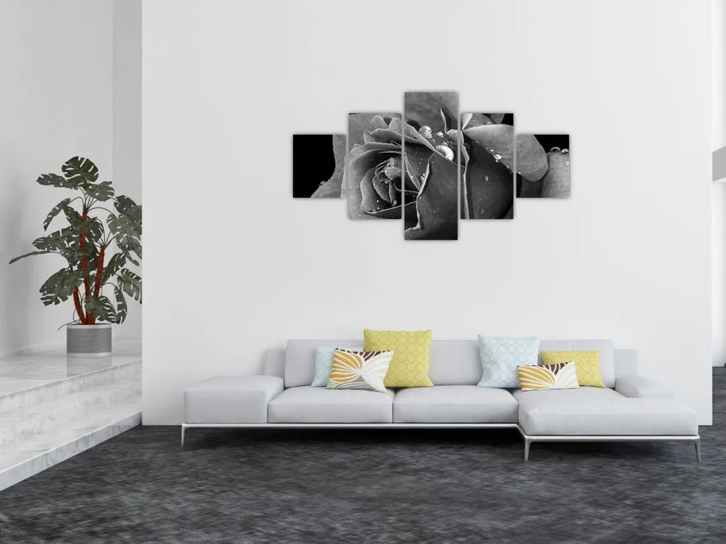 Obraz róży - czarno - biały (125x70 cm)