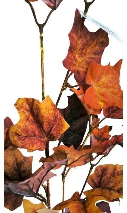 Zestaw gałęzi klonu 72 cm, 2 szt.