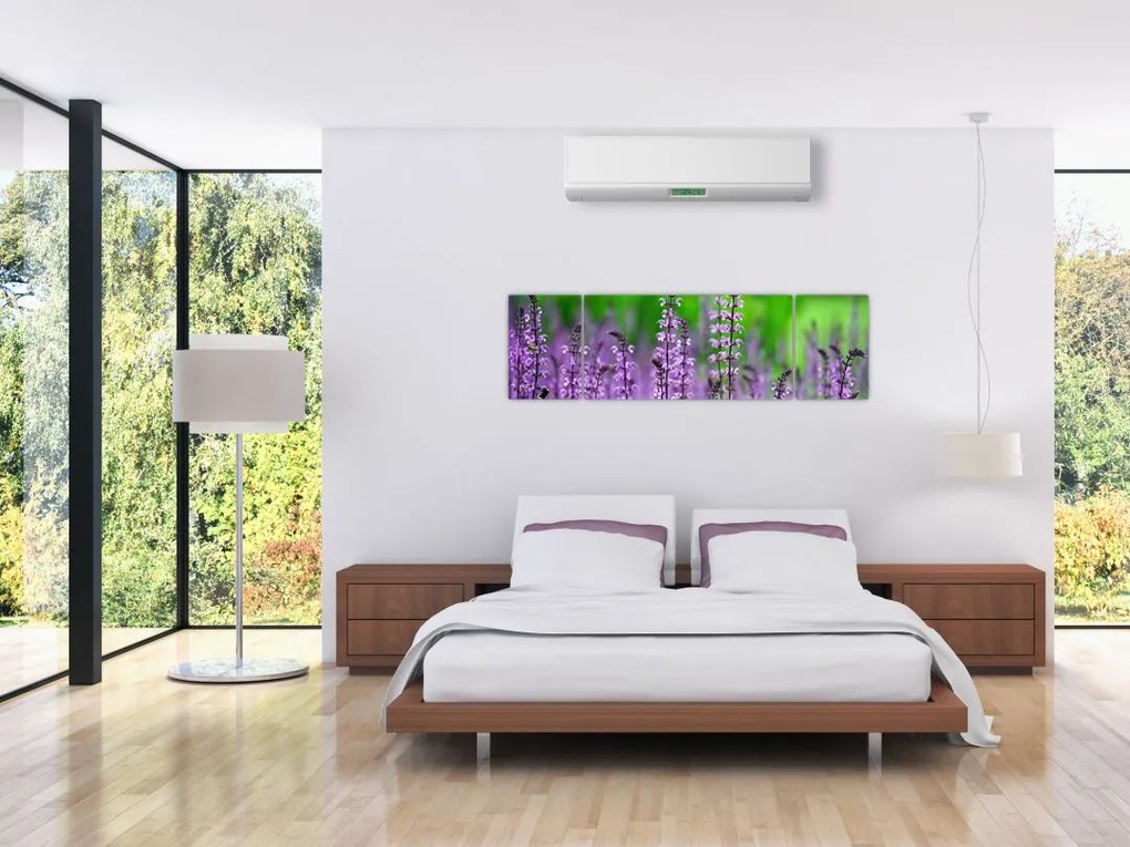 Obraz fioletowych kwiatów polnych (170x50 cm)