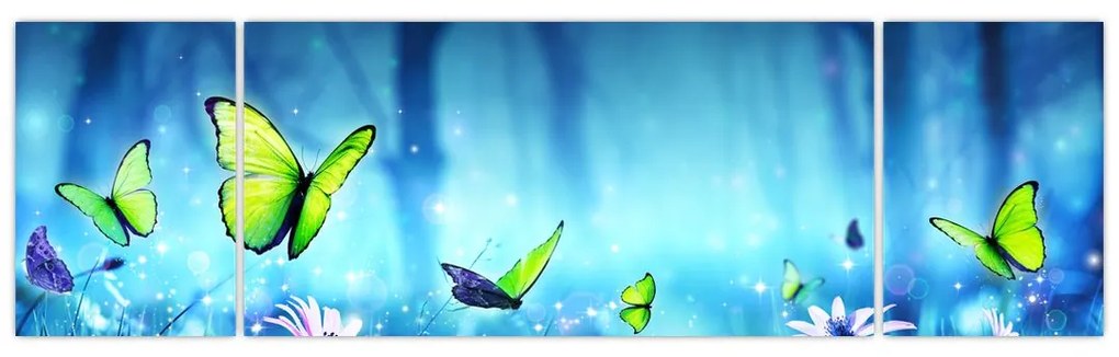 Obraz - Mistyczna leśna polana (170x50 cm)