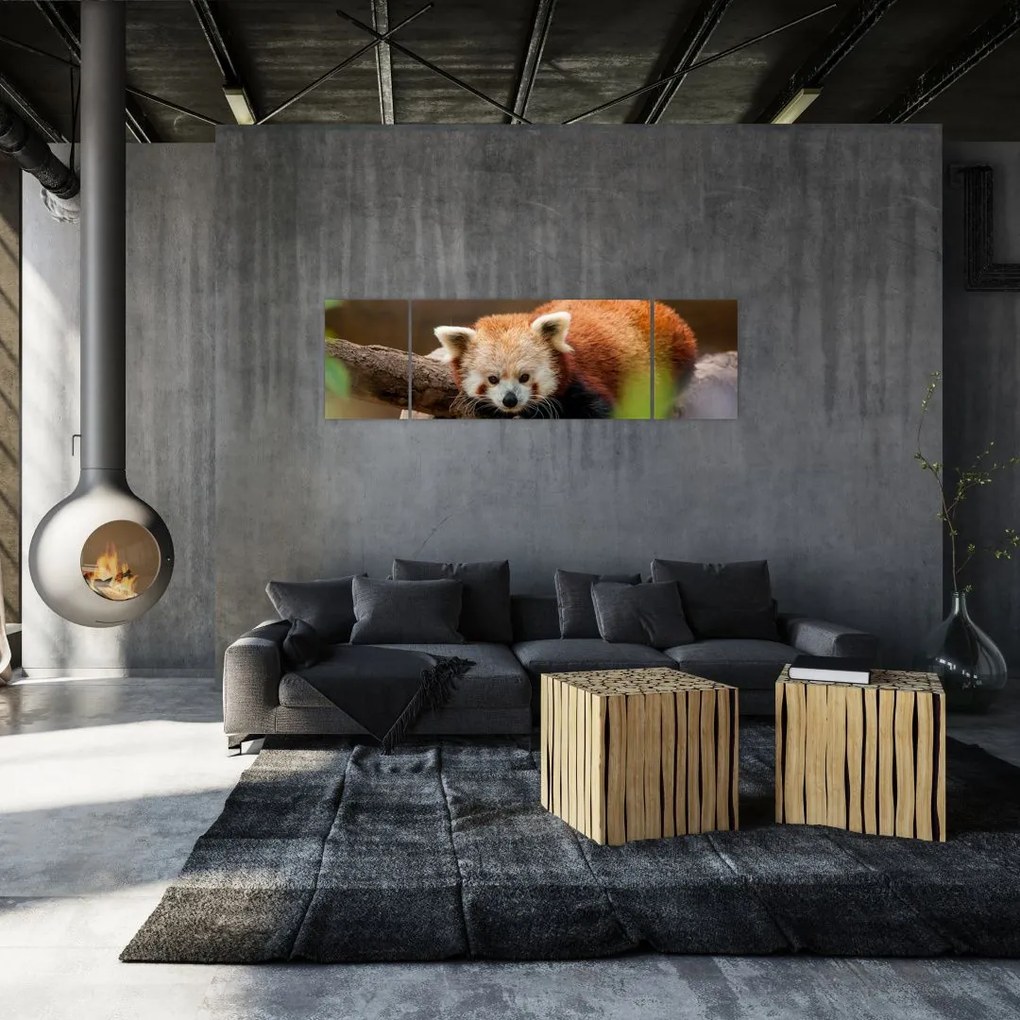 Obraz czerwonej pandy (170x50 cm)