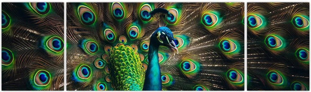 Obraz – Paw (170x50 cm)
