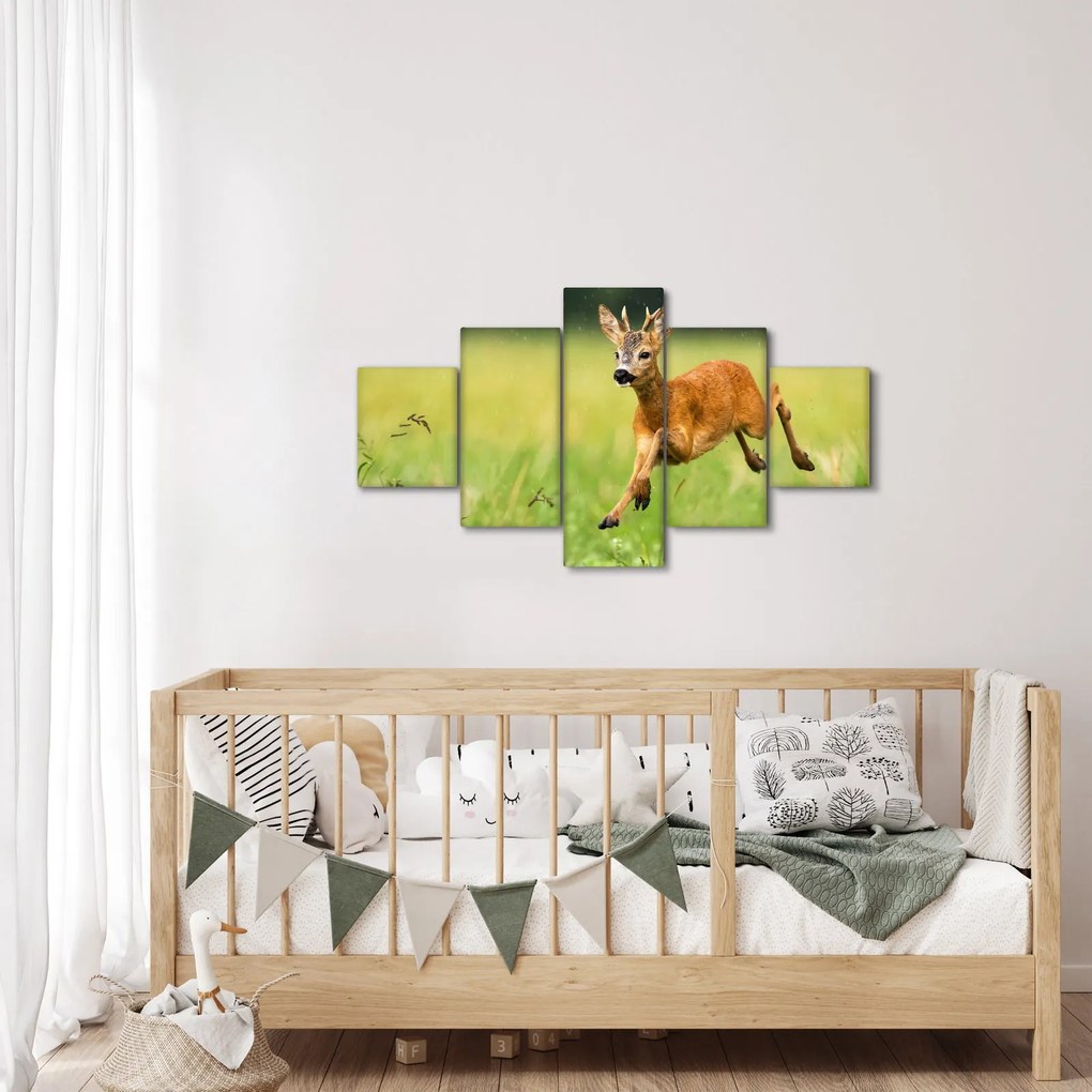 Obraz - Sarna (125x70 cm)