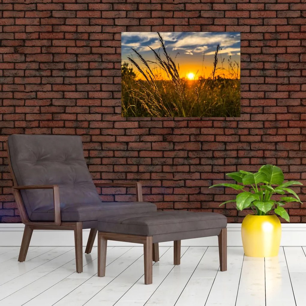 Obraz pola o zachodzie słońca (70x50 cm)
