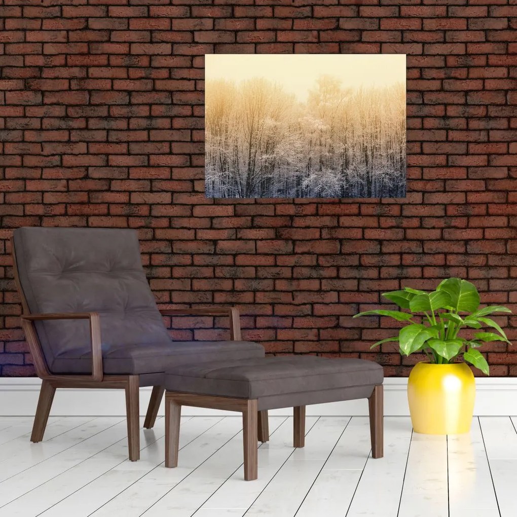 Obraz mroźnego lasu (70x50 cm)